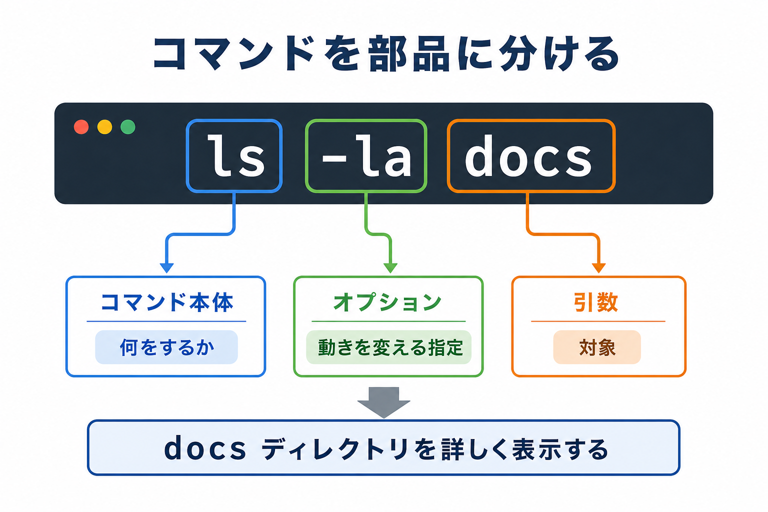 ls -la docsをコマンド本体、オプション、引数に分ける